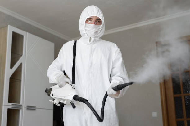 Best Commercial Mold Inspection  in Hudson, FL